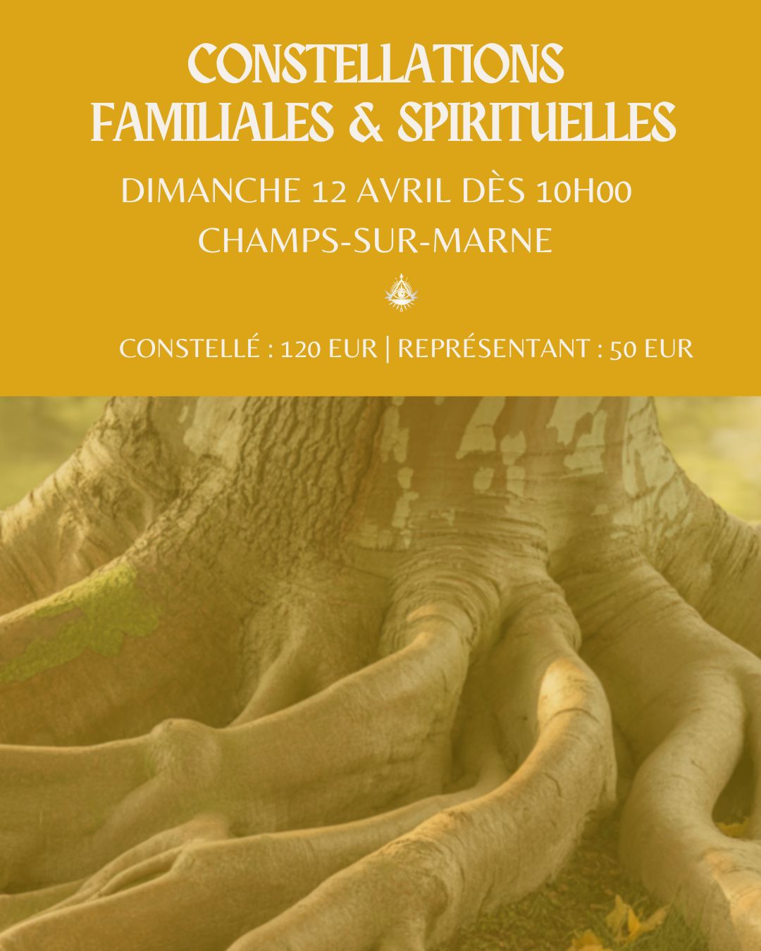 Constellations familiales Champs-sur-marne