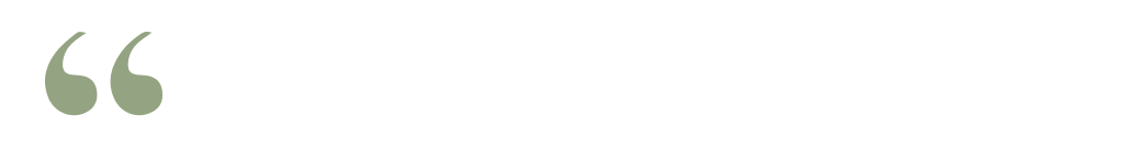 guillemets-verts-gauche